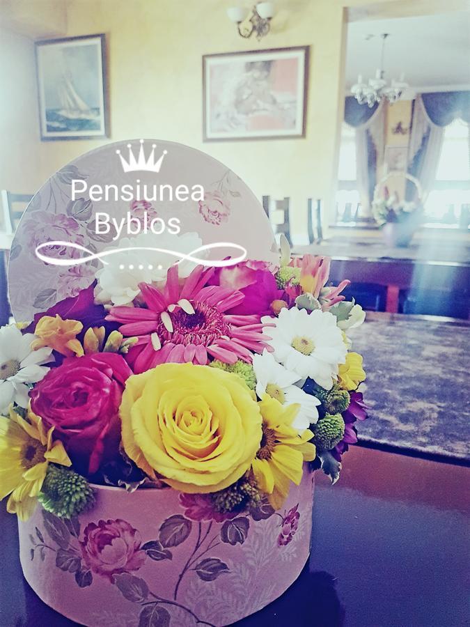 Pensiunea Byblos Piatra Neamţ Екстериор снимка
